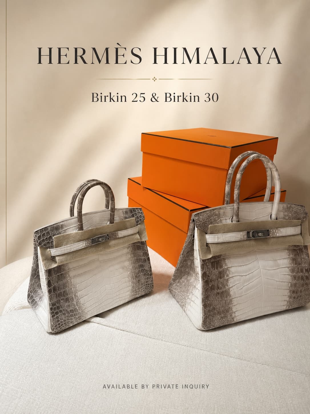 Hermès Himalaya Birkin 30